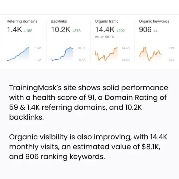 TrainingMask.com SEO performance and organic traffic report